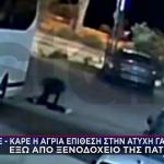 Πάτρα: Καρέ Καρέ Η Μοιραία Επίθεση Στη Γαρυφαλλιά