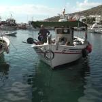 Άδειασαν Τα Δίχτυα Των Επαγγελματιών Ψαράδων