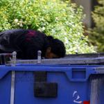 αναζήτηση φαγητού στα σκουπίδια