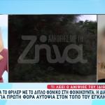 Φοινικούντα: Έδωσε Χαριστική Βολή Στο Κεφάλι