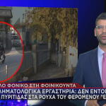 Φοινικούντα δολοφονία