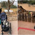 Κωνσταντίνα Σπυροπούλου