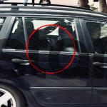 Δολοφονία στη Φοινικούντα: Απολογούνται σήμερα οι κατηγορούμενοι