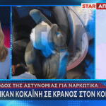 Κορυδαλλός - Kοκαΐνη