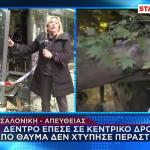 Θεσσαλονίκη: Δέντρο Καταπλάκωσε Αυτοκίνητο