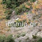 Ευρυτανία: Νεκρός 39χρονος Που Έπεσε Με Το Αμάξι Σε Γκρεμό
