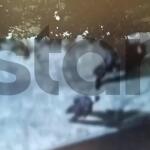 Πετρούπολη: Τρόμος Από Συμμορία Ανηλίκων