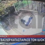 επίθεση ροτβάιλερ σε 76χρονο