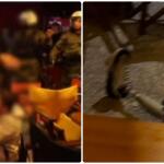 Εξάρχεια: Βίντεο Με ΜΑΤ Να Επιτίθενται Σε Πολίτες