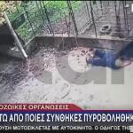 Επίθεση Ροτβάιλερ Στην Καλαμάτα -  Κατατέθηκε Μήνυση