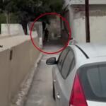 Βορίζια: Βίντεο Ντοκουμέντο Με Τον Γαμπρό Του 39χρονου