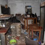 Δονούσα: Πρόστιμο 1,7 Εκατ. € Σε 63χρονο- Κρατούσε 58 Γάτες