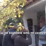 σφυρί πλειστηριασμοί