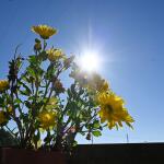 Καιρός: Καλοκαιρινό Σαββατοκύριακο Κι Από Δευτέρα Χειμώνας