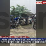 Η στάνη που έκρυψαν τη μοιραία «γουρούνα»