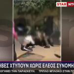 Έφηβες Χτυπούν Χωρίς Έλεος Συνομήλική Τους - Βίντεο