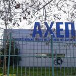 Ζευγάρι με οξεία ηπατική ανεπάρκεια μετά από κατανάλωση μανιταριών