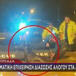 Φιλιππιάδα: Συγκινητικό Βίντεο Από Διάσωση Αλόγου