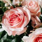 Εορτολόγιο: Ποιοι γιορτάζουν Σήμερα 11 Δεκεμβρίου