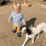 Ζάκυνθος: Δεν Έβγαζε Τα Δόντια Του Από Το Παιδί