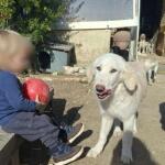 Ζάκυνθος: Σπαράζει Ο Πατέρας Του 2χρονου Λίο