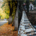 Παγκόσμια Ημέρα Βουνού