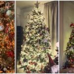 Το συμβολικό στολίδι που έχουν επώνυμες στα χριστουγεννιάτικα δέντρα τους