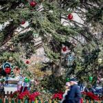 Καιρός: «Φθινοπωρινά» Τα Φετινά Χριστούγεννα