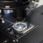 197 Παιδιά Γεννήθηκαν Με Σπέρμα Με Καρκινικό Γονίδιο