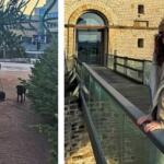 Δανάη Παππά