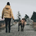 Δαγκώματα Aπό Σκύλους Στην Ελλάδα