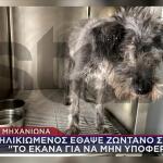 Θεσσαλονίκη: Έθαψε Ζωντανό Τον Σκύλο Της Κόρης Του!