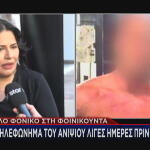 Φοινικούντα