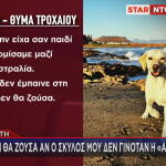 Σκύλος Έγινε «Ασπίδα» Για Να Σώσει Το Αφεντικό Του