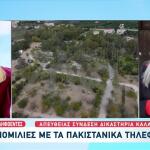 Φοινικούντα: Τα Στοιχεία Που Οδήγησαν
