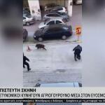 Εύοσμος: Αστυνομικοί Κυνηγούσαν Αγριογόρουνο