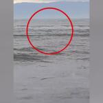 Στρυμόνας: Βίντεο Με Τη Διάσωση Ψαρά Από Σέρφερ