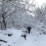 Έκτακτο Δελτίο Καιρού: Κύμα Ψύχους Από Την Κυριακή Με Χιόνια