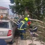 Κακοκαιρία: Ζημιές Από Τους Θυελλώδεις Ανέμους