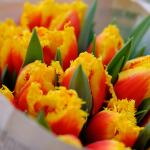 Εορτολόγιο Σήμερα: Ποιοι Γιορτάζουν 31 Ιανουαρίου