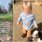 Υιοθετήθηκε το pitbull που σκότωσε το 2χρονο αγοράκι στη Ζάκυνθο