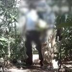 Ζωγράφου: Eμπόριο Ναρκωτικών Έξω Από Την Πανεπιστημιούπολη