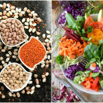 Φυτικές Ίνες