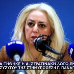Άννα Στρατινάκη: Παραιτήθηκε από την Ανεξάρτητη Αρχή για την Αγορά