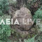 Κατάκολο: Βράχος 40 Τόνων Απειλεί Κατοικημένη Περιοχή