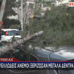 Πεσμένα δέντρα από τους ανέμους