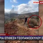 Mαγούλα: Bίντεο Με Τσοπανόσκυλο Να Επιτίθεται Σε Άνδρα