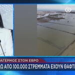 Έβρος πλημμύρες