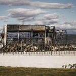 Βιολάντα: Το Πόρισμα Του ΕΜΠ Για Τον Σωλήνα Προπανίου