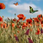 Εαρινή Ισημερία 2026: Πότε Μπαίνει Η Άνοιξη